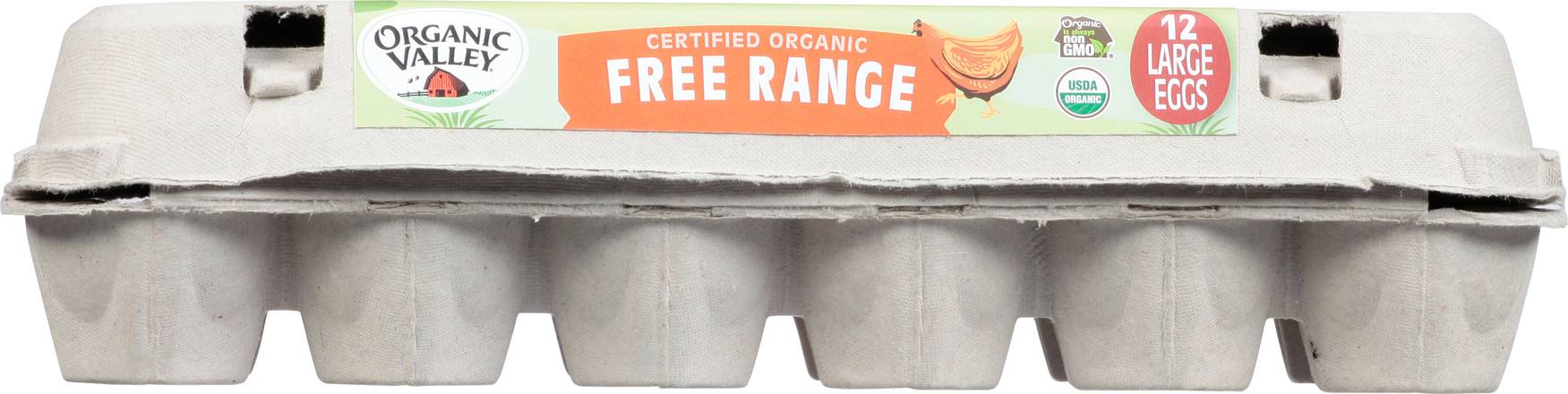 Organic Valley Brown Large Eggs (12 ct)