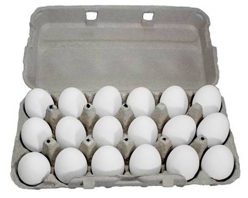 British White Eggs 18 Pack