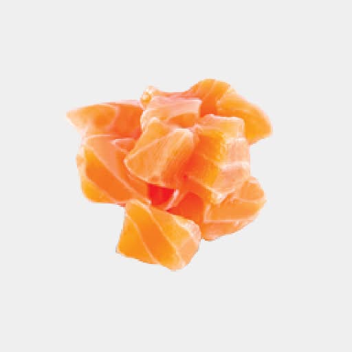 Saumon / Salmon