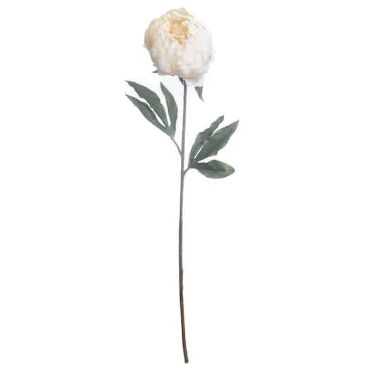 27" Cream Peony Stem By Ashland Fall