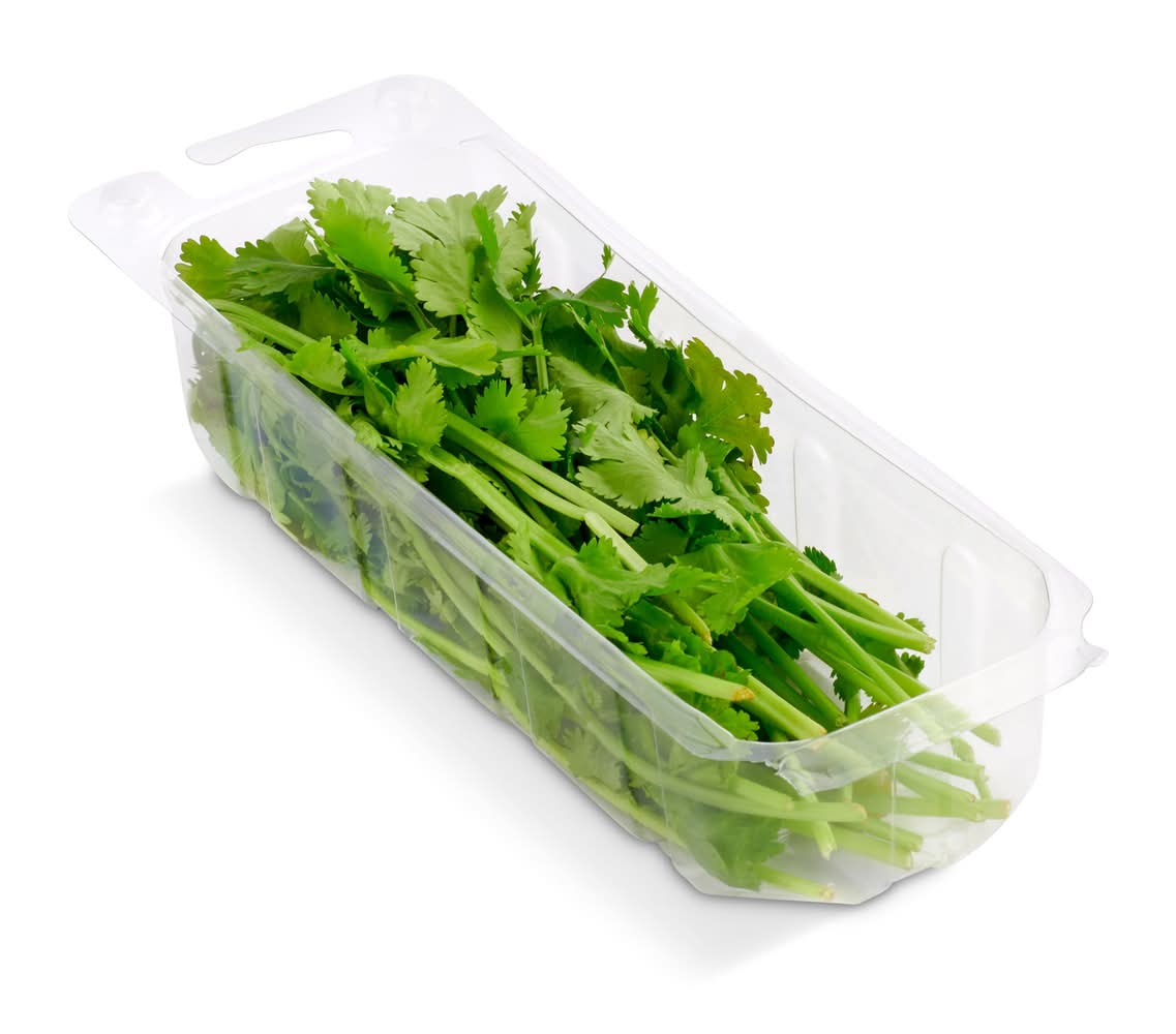 Cilantro Bandeja 20 G