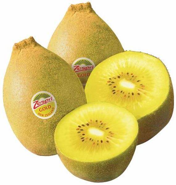 New Zealand Gold Kiwi