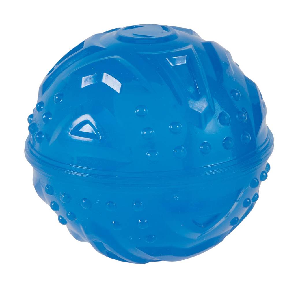 Arcadia Trail Glow in the Dark Dog Toy, Blue