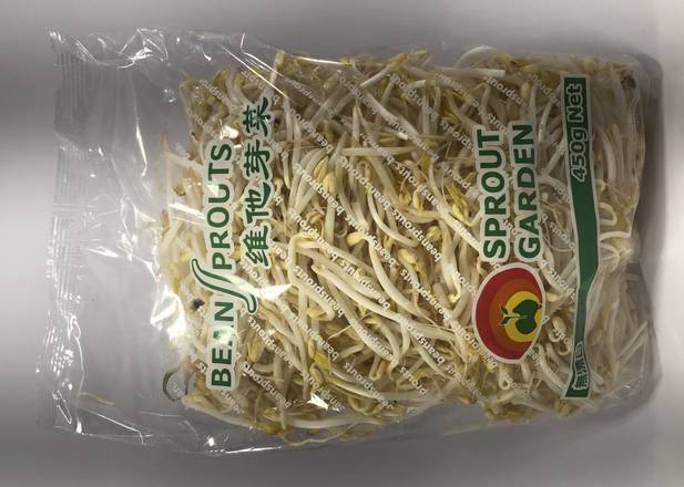 Bean Sprouts Sprout Garden 450g