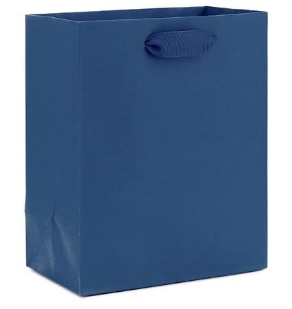 Hallmark Gift Bag For Birthdays, Weddings, Graduations