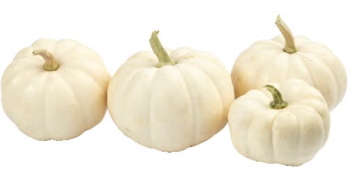 White Casperita Mini Pumpkin