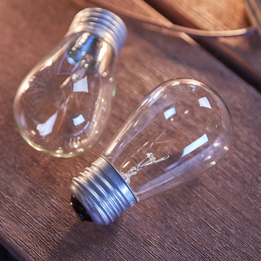 Harbor Breeze White Incandescent Edison String Light Bulbs | LB11C-2