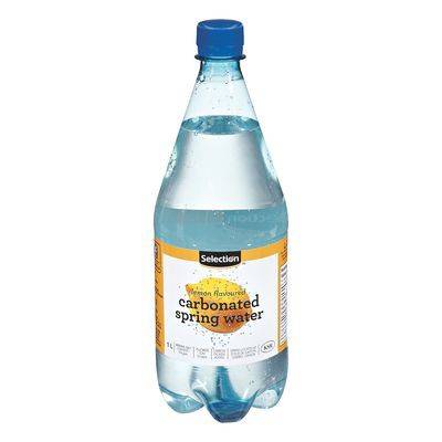 Selection eau de source gazéifiée à saveur de citron (1l) - lemon flavoured carbonated spring water (1l)