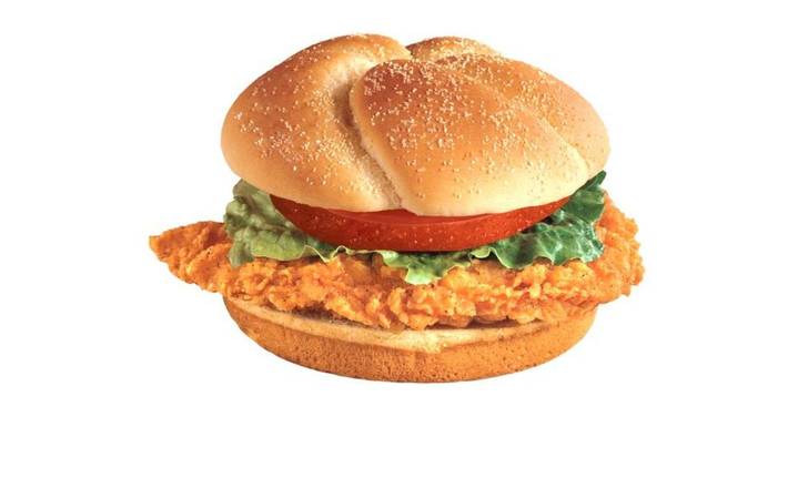 Homestyle Chicken Burger