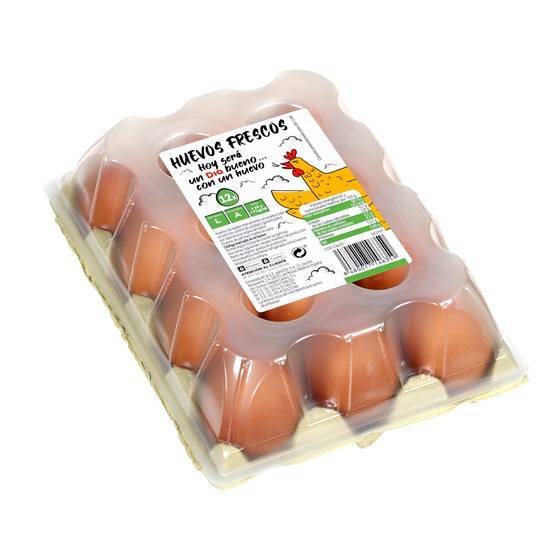 Huevos frescos categoría A clase L estuche 12 uds