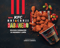 KFC (REVOLUCION-1147)