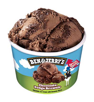 Ben & Jerry's Choc Fudge Brownie Ice Cream 100Ml