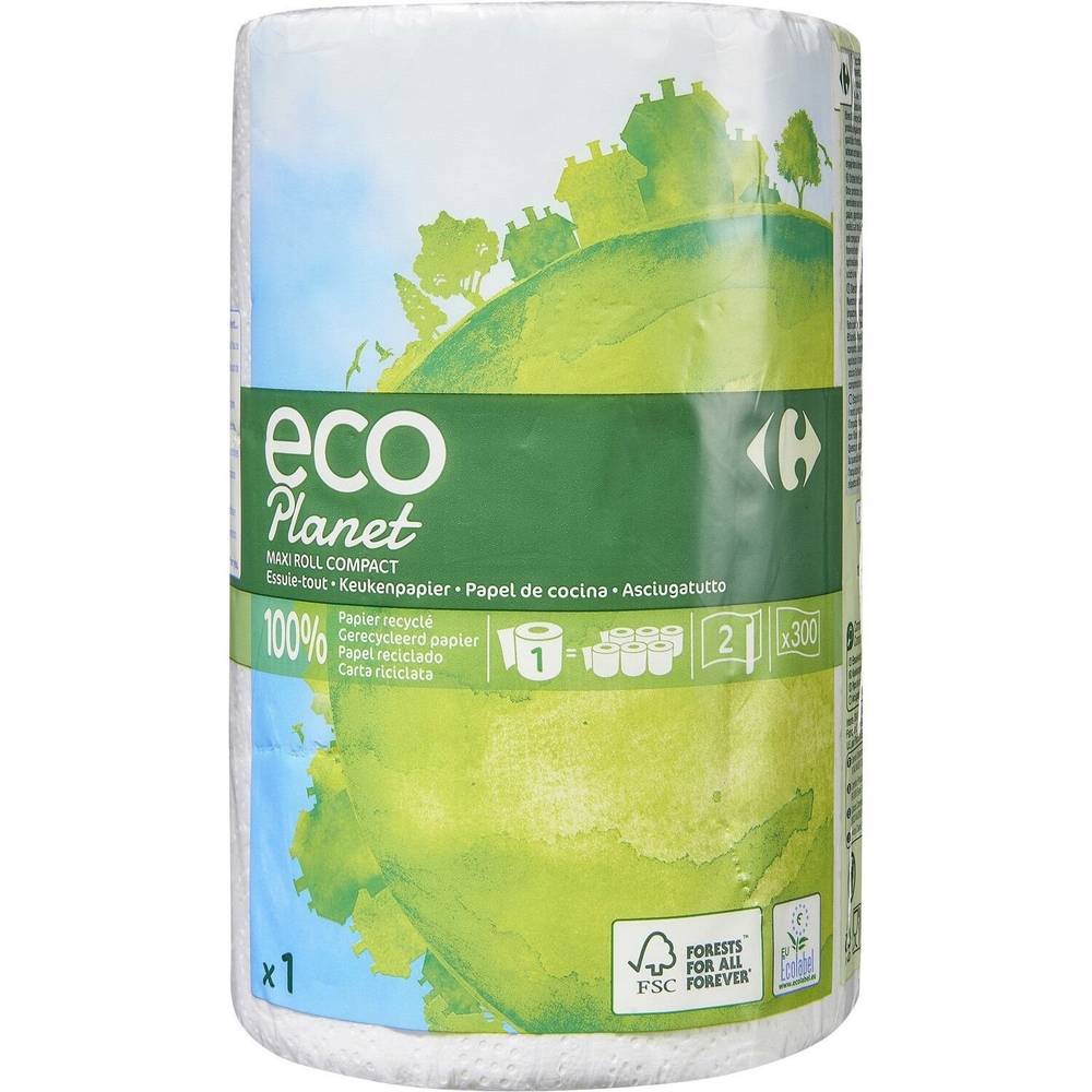 Carrefour Eco Planet - Essuie tout