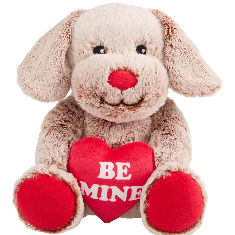 PetSmart Charities® Chance & Friends Dog Toy- Chance (Color: Brown)