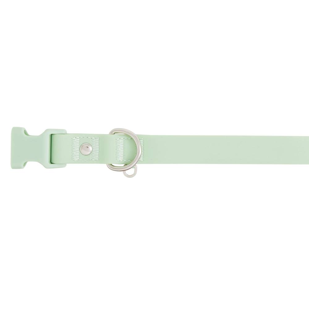 Top Paw® Core Fashion Dog Collar (Color: Green, Size: Small)