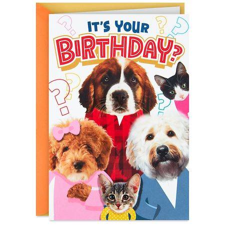 Hallmark Funny Pop-Up Dog and Cats Birthday Card