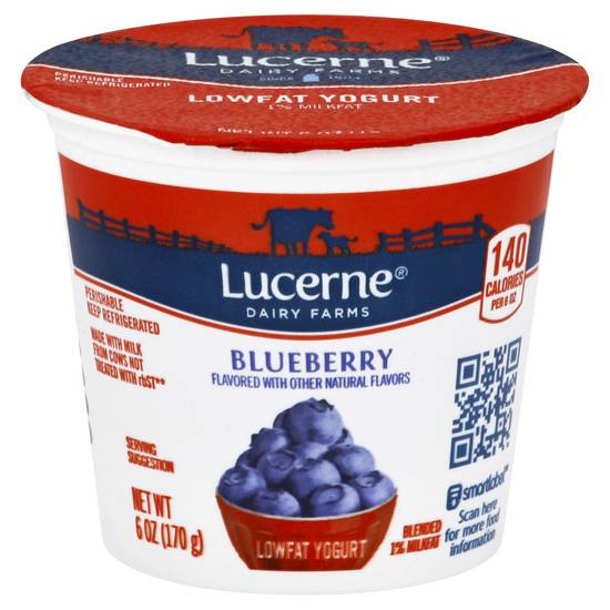 Lucerne Blueberry Lowfat Yogurt (6 oz)