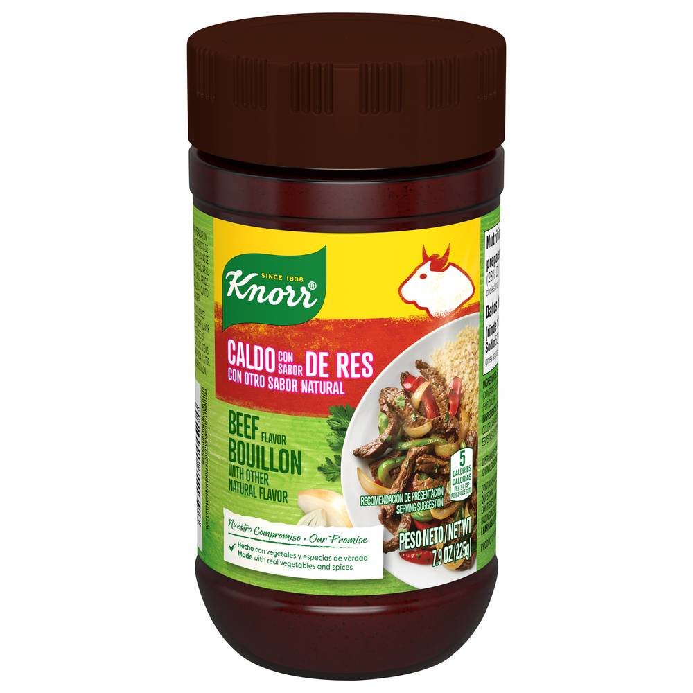 Knorr Beef Flavor Bouillon