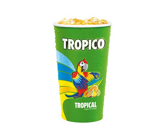 Tropico