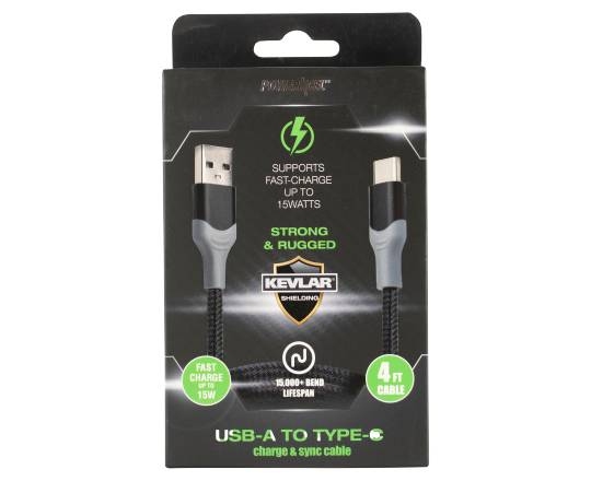 PowerXcel Usb-A To Type-C Charge and Sync Cable, Gold