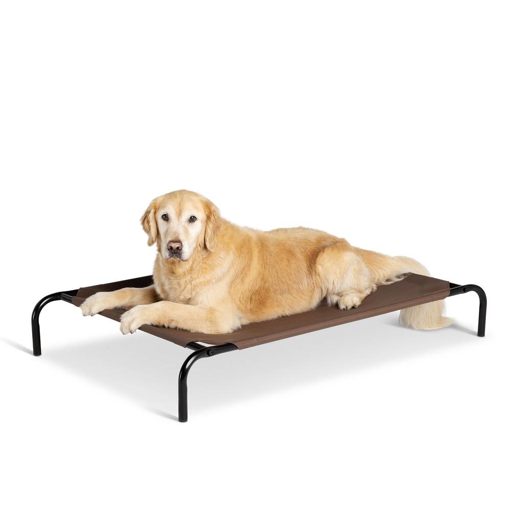 Top Paw Indoor and Outdoor Elevated Dog Bed, 52"L x 32"W x 8"H, Brown