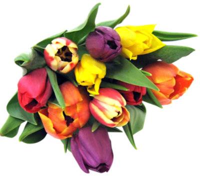 Rainbow Tulips Bunch - EA