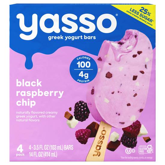 Yasso Black Raspberry Chip Geek Yogurt Bars