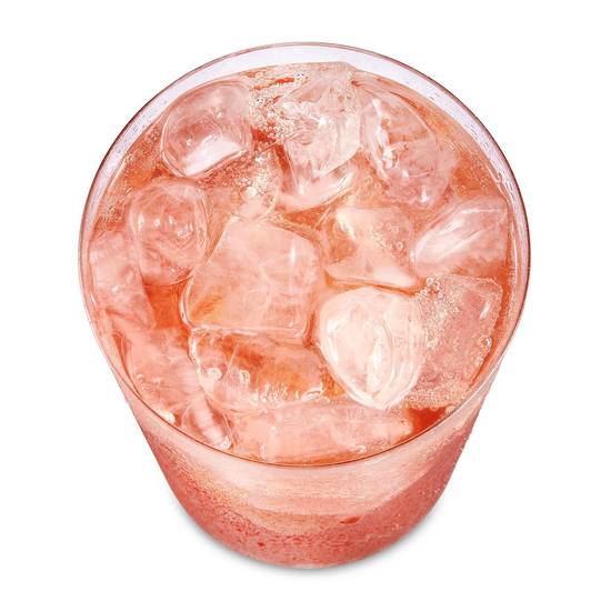 Raspberry Guava Refresher Regular