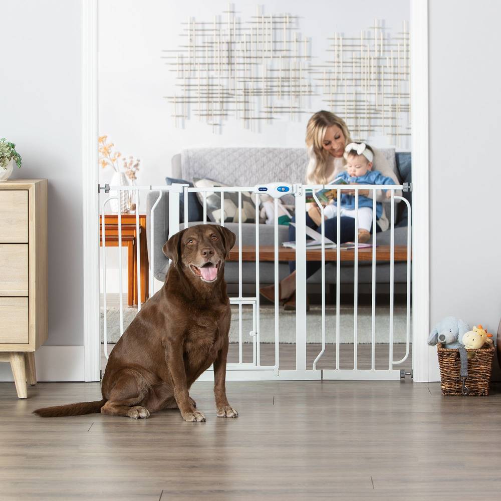 Top Paw Extra-Wide Walk-Through Pet Gate (51" x 30"/white)