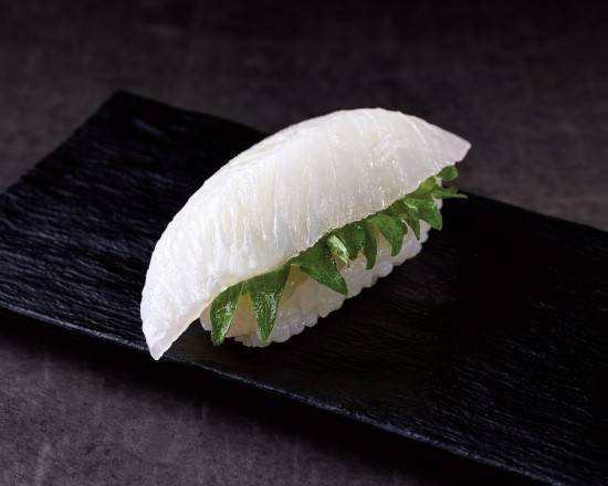 エンガワ【 V2062 】 Flounder Fin