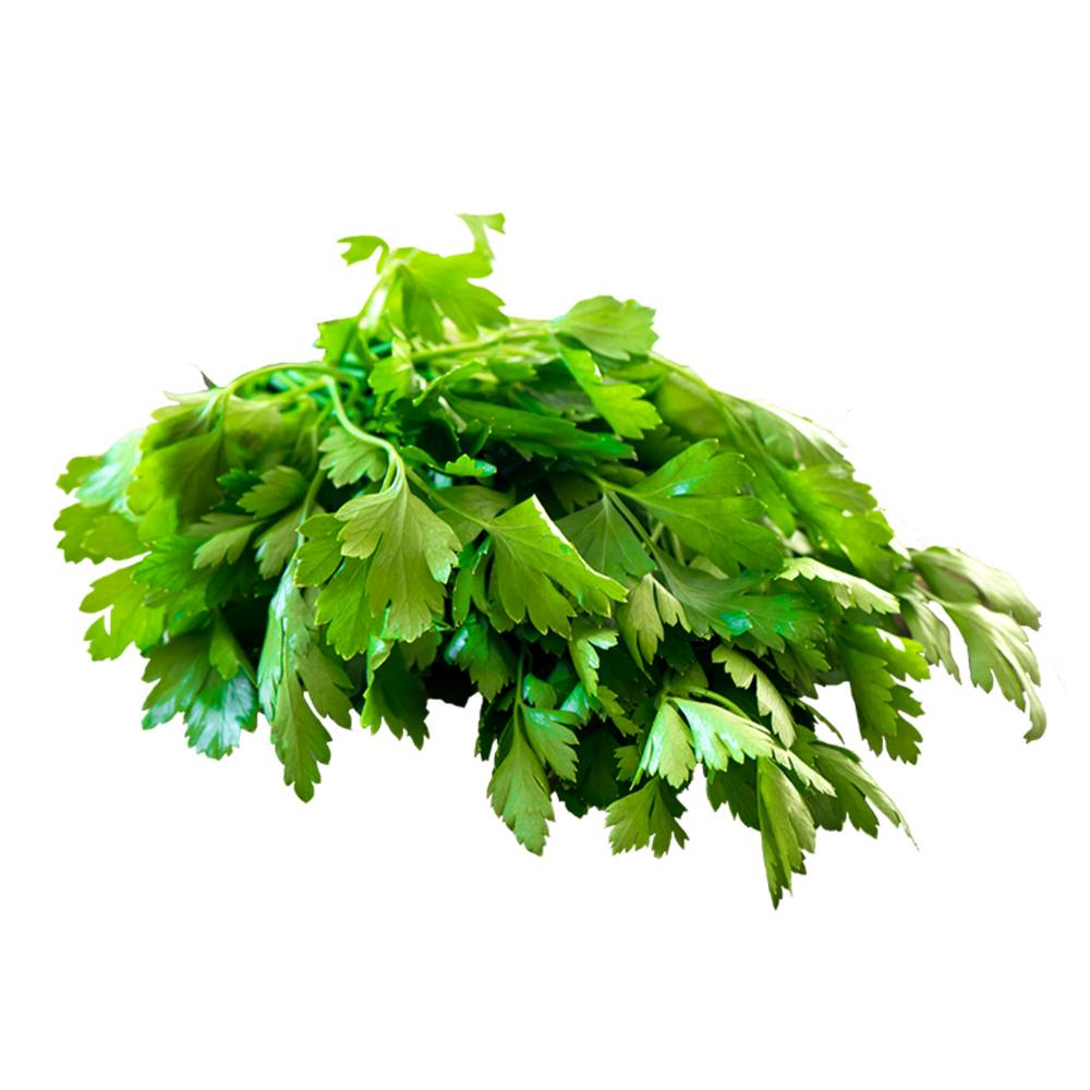 Cilantro (each)