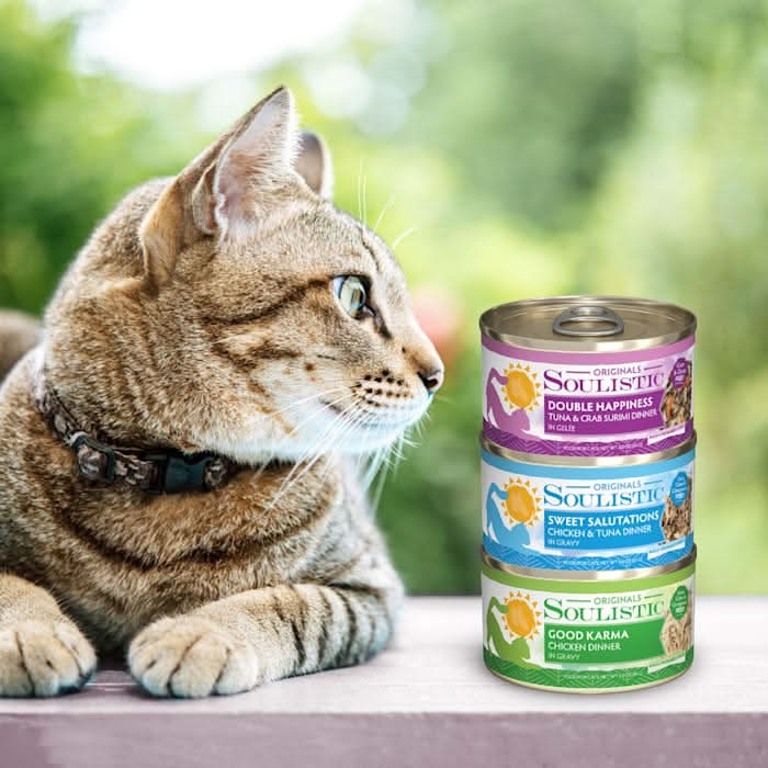 Variety Pack Soulistic Cat Food Save Big On Bulk Soulistic Wet Cat