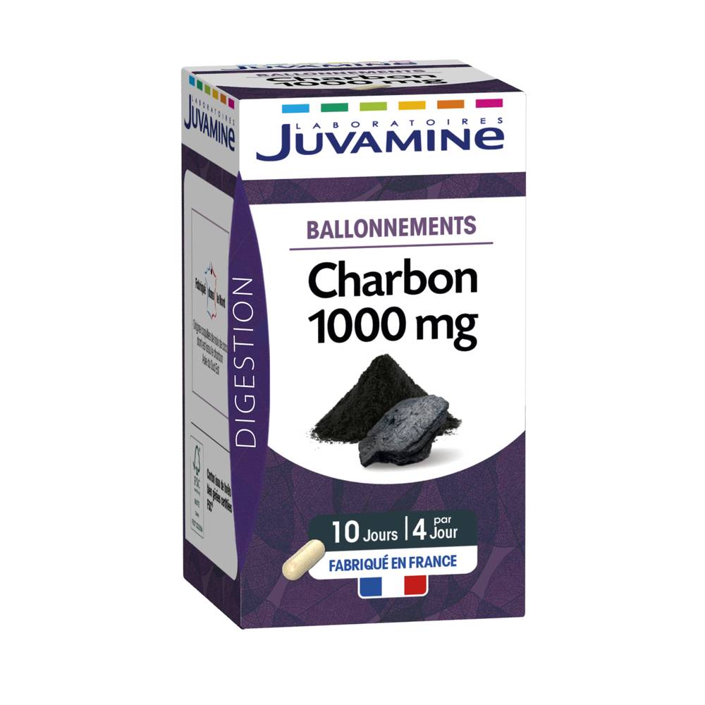 Laboratoires Juvamine - Ballonnements charbon (40 pièces)