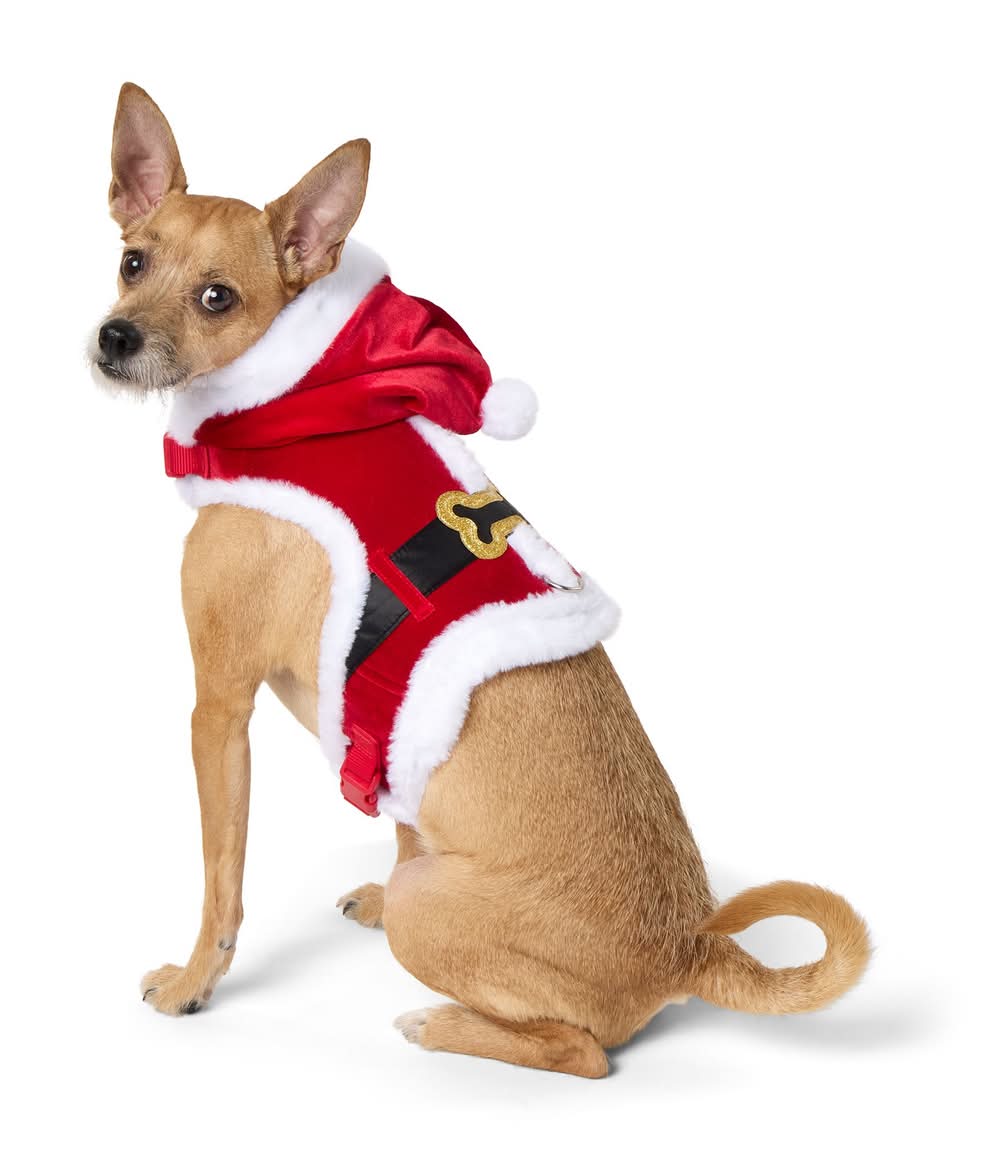 Merry & Bright Large Santa Holiday Costume Dog Harness Delivery Near Me |  Order Online | Uber Eats