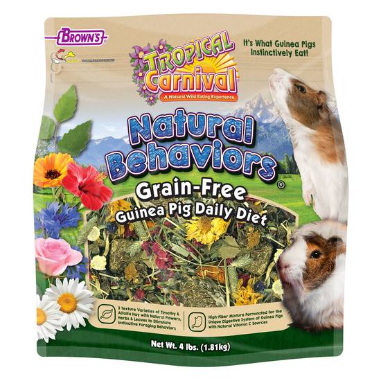 Guinea pig treats clearance petsmart