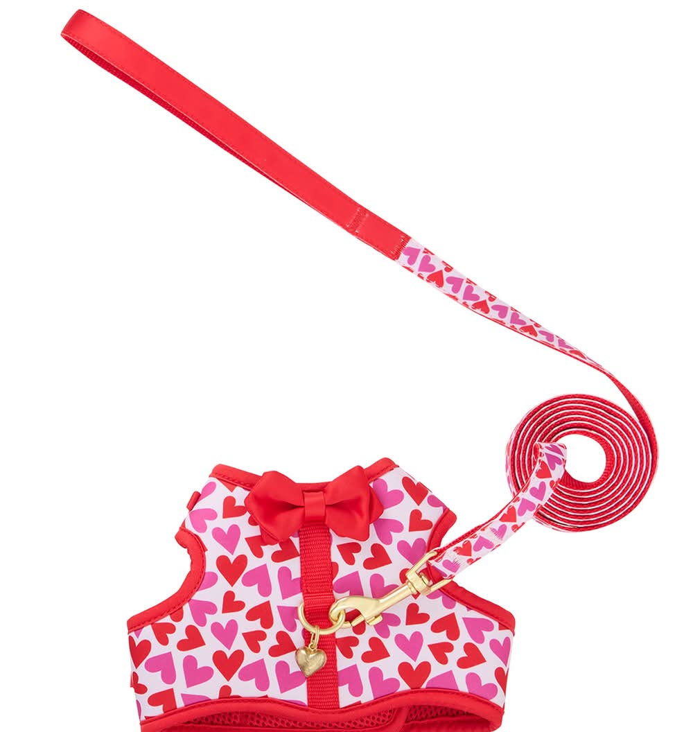 Whisker City® Cat Harness and Leash Hearts (Color: Red, Size: Cat (Adult))