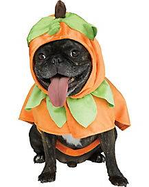 Pumpkin Pet Costume (Pet Medium)