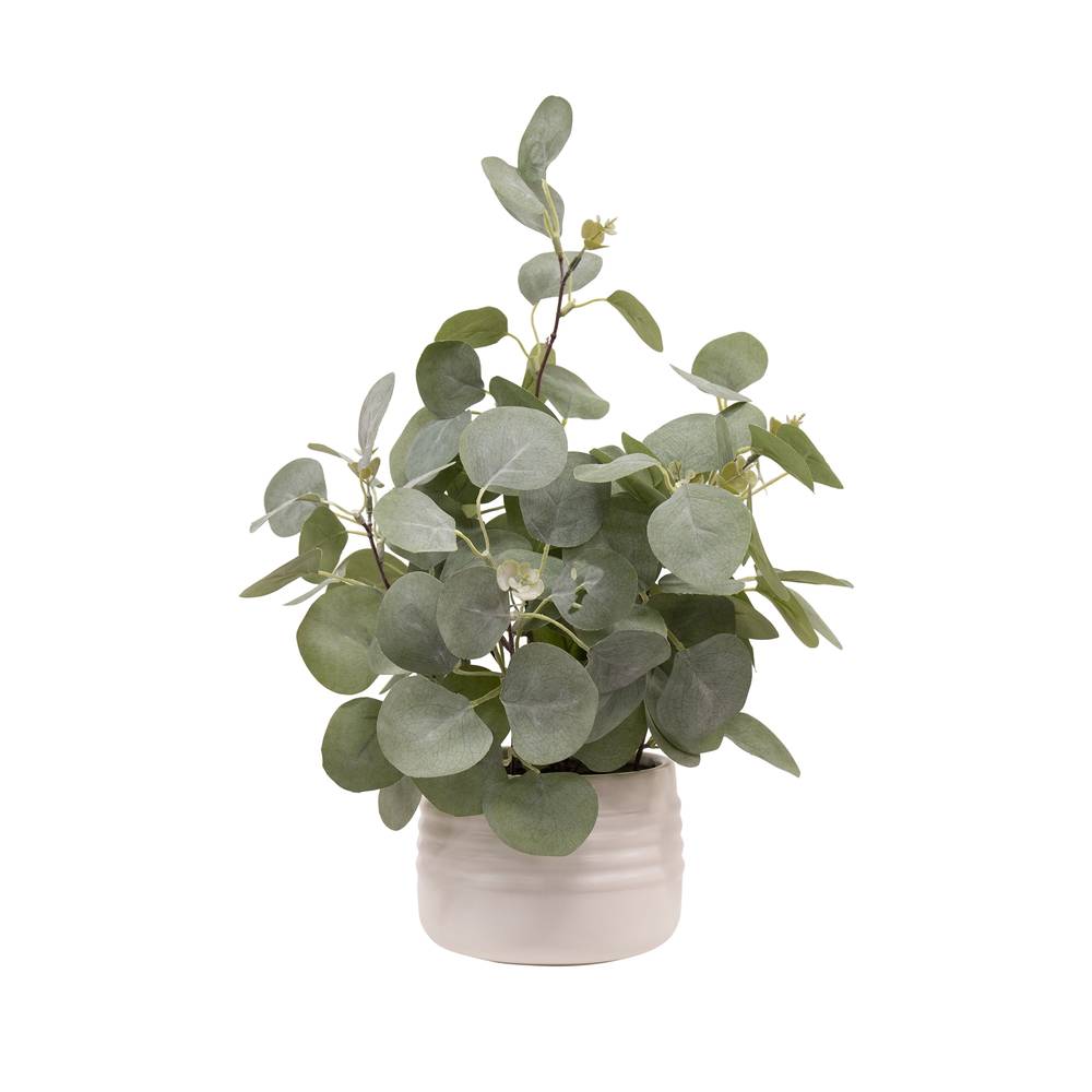 allen + roth 16-in Green Indoor Eucalyptus Artificial Plant | P1000-LW