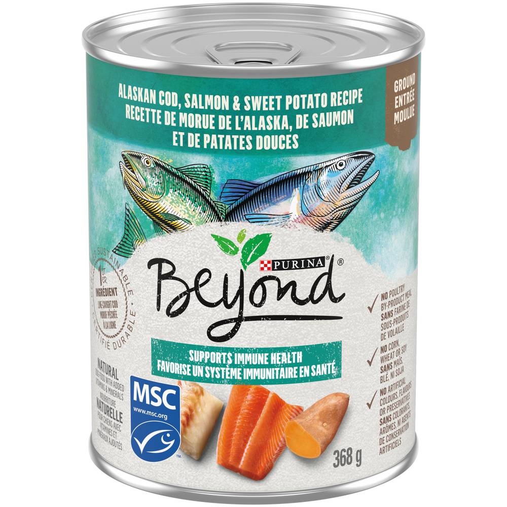 Purina Beyond Ocean Whitefish Salmon & Sweet Potato Dog Food (368 g)