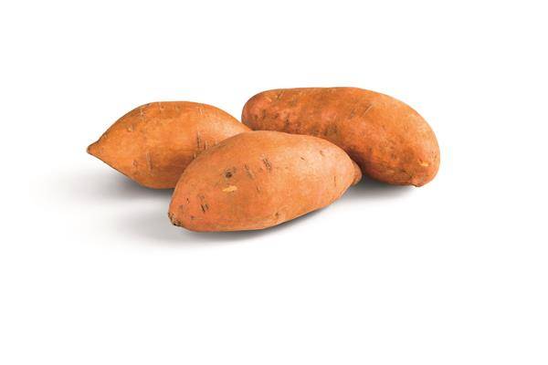 Golden Sweet Potato