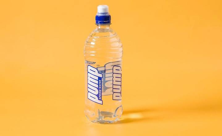 Pump