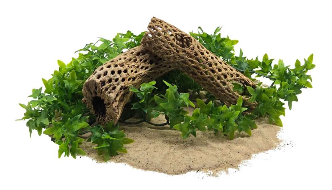 Awesome Aquatic Natural Cholla/Choya Wood 3 Pieces 6 For Shrimp 3 Pc 6