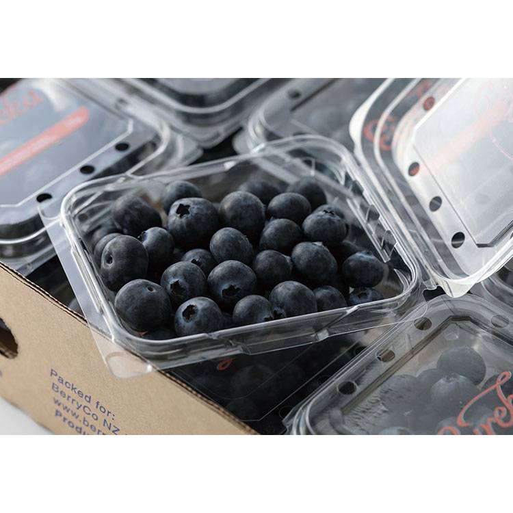 進口藍莓禮盒1.5kg+-5%/箱#665353