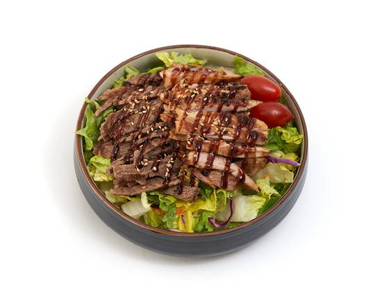 Chicken & Beef Teriyaki Salad