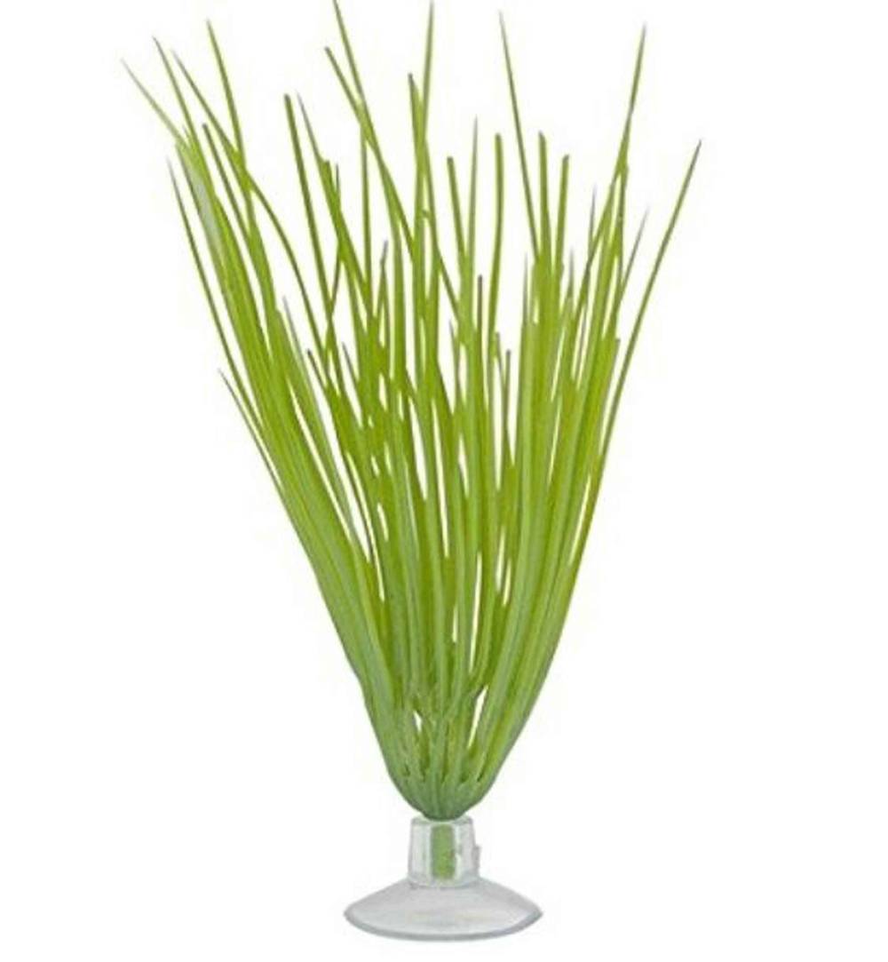 Marina Betta Kit Hairgrass Plant With Suction Cup - 5 Inch