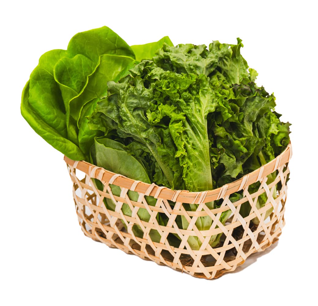 水耕地中海萵苣生菜180g±10%