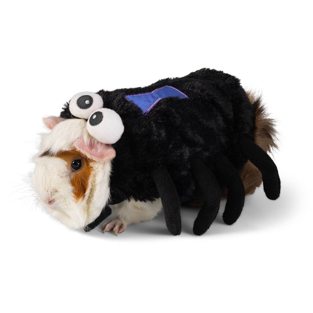 Thrills & Chills Spider Small Pet Costume