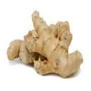 Ginger Organic Usa 1 Each