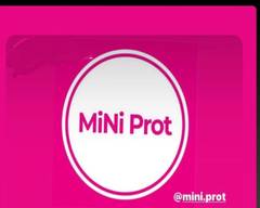 MiNi Prot 