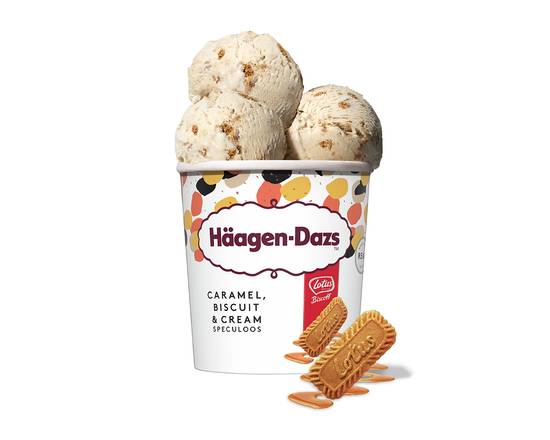 Häagen-Dazs Caramel Biscuit & Cream "New"